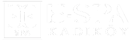 E Spa Wellness Logo
